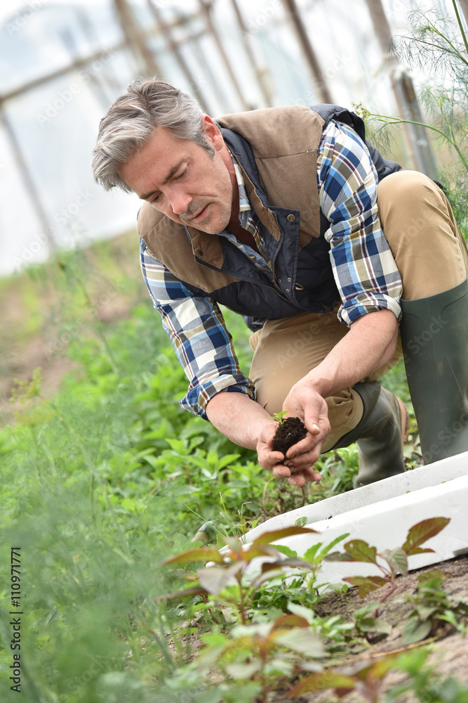 Fototapeta premium Farmer using loam to plant new seeds