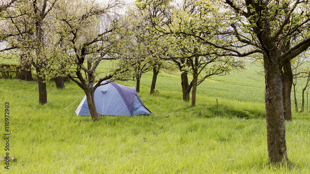 Camping tent in garden