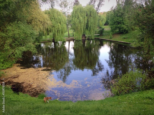 Small lake near St. Marketa monastery in Prague photo