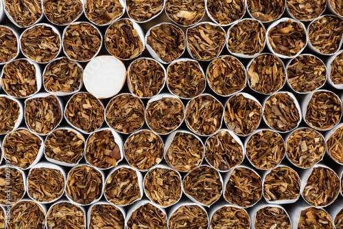 Heap of Tobacco Cigarettes Front View close up