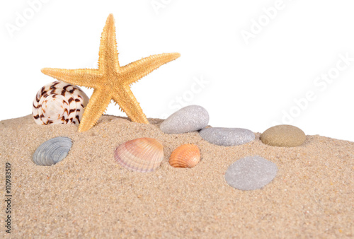 Starfish and seashells in a beach sand on a white