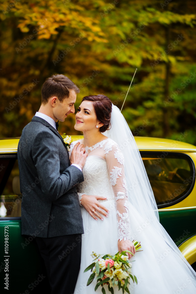 Beautiful happy young bride kissing handsome groom in sunlit park Beautiful happy young bride kissing handsome groom in sunlit park