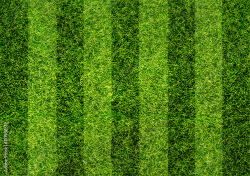Soccer field texture