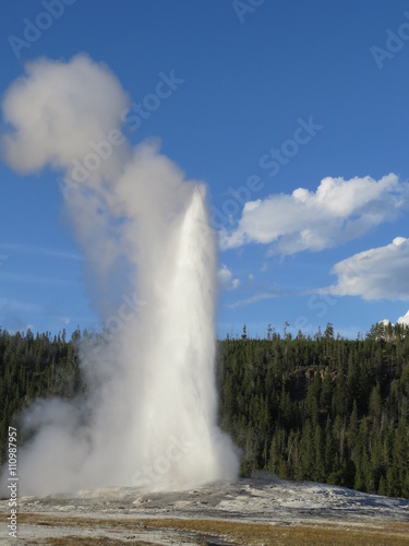 Old Faithful geyser in Yellowstone