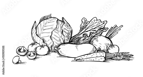 Hand drawn illustration - Vegetables. Supermarket. Grocery store