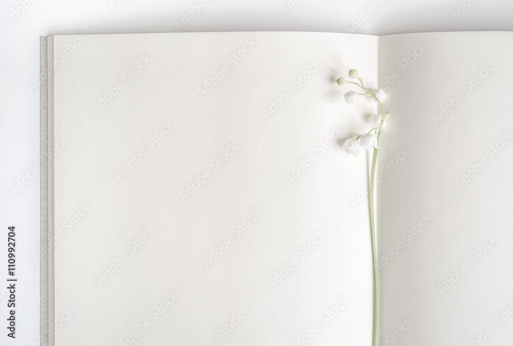 Fototapeta Open empty book with lily of the valley.