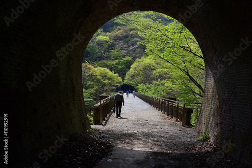 碓氷峠の眼鏡橋/Megane Bridge of Usui photo
