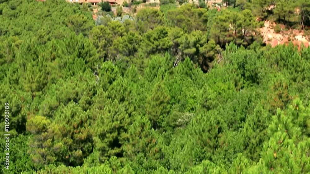 Le village de Roussillon dans les bois de pins