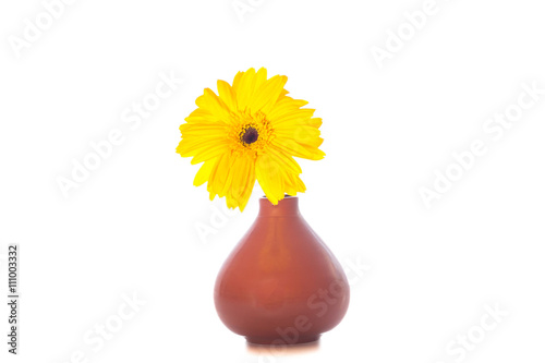 yellow flowers in a vase on a white background © phonrat