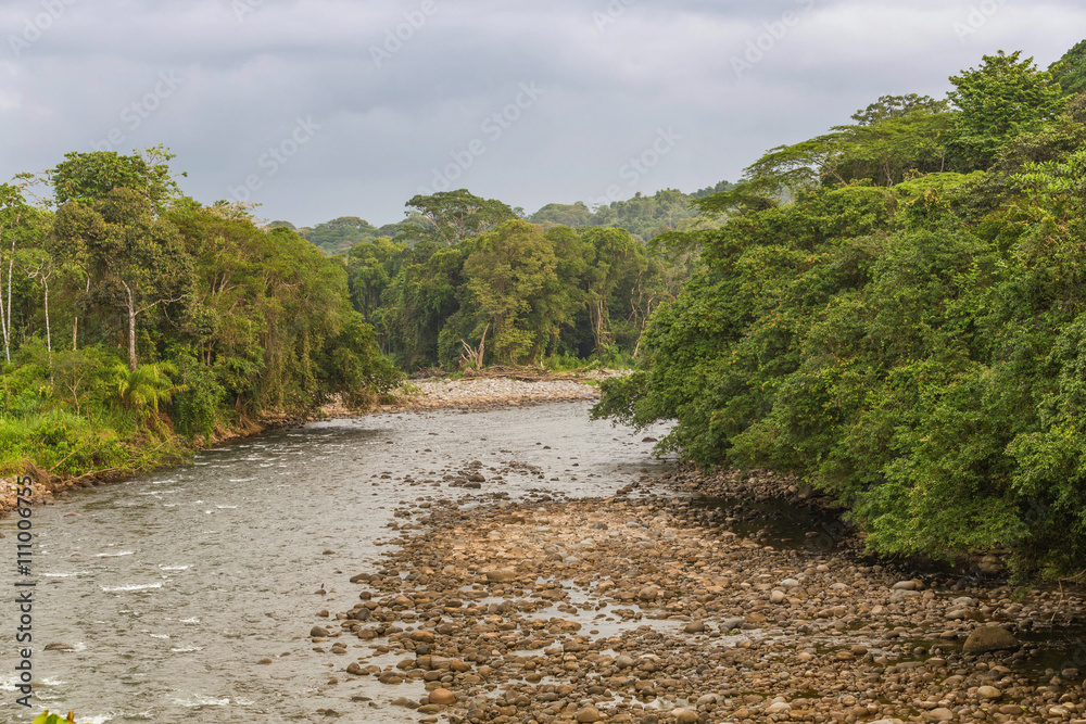 Obraz premium Scenic view of the river between the jungle