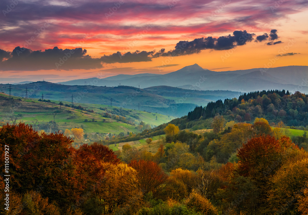 autumn forest on a mountain hill at sunset