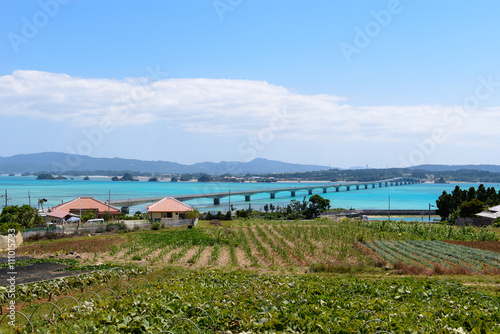 Okinawa Beach and Bridge