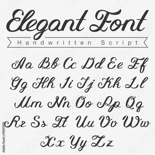 Elegant Handwritten Calligraphy Script Font design vector