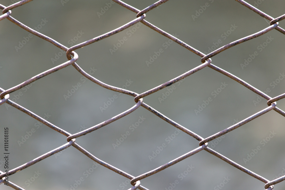 Fototapeta premium metal mesh in nature as a background