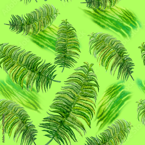 Wallpaper Mural Watercolor drawing of spring fern. Hand drawn painting of beautiful plant. vascular plant. Seamless pattern. Dicksonia antarctica, Monilophytes, pteridophytes. Kingdom Plantae, Subkingdom Embryophyta Torontodigital.ca