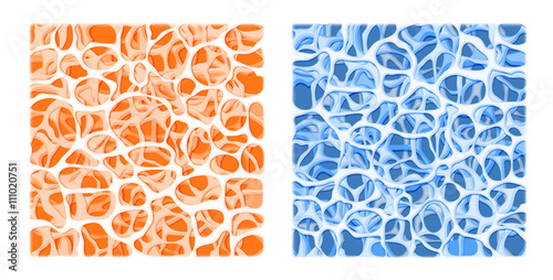 bone structure. vector background