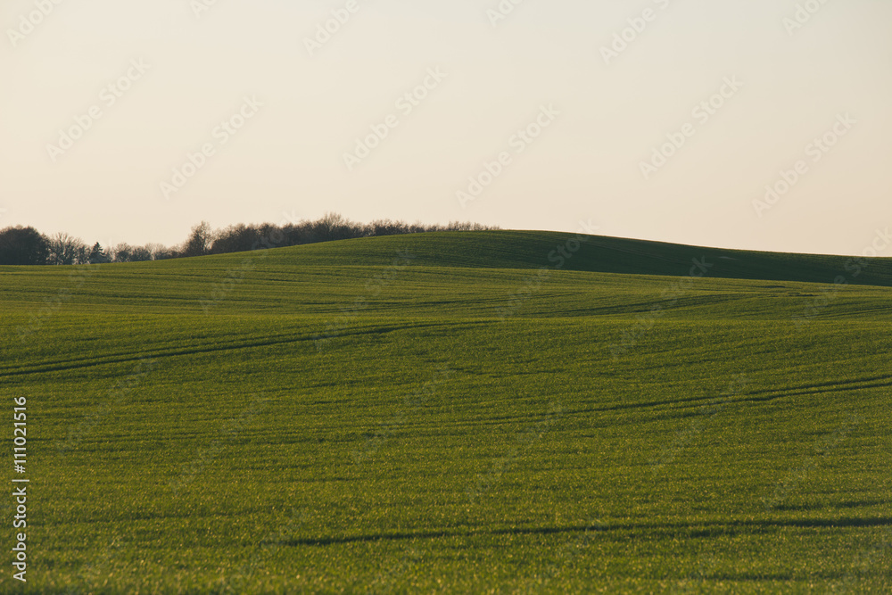 Grüne Hüge