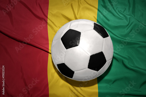 black and white football ball on the national flag of guinea