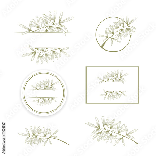 Olive or Argan Oil Design Set