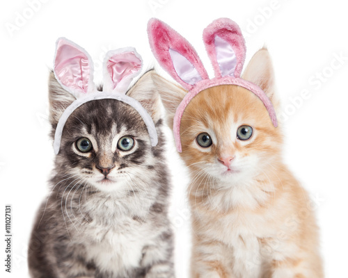 Fototapeta Naklejka Na Ścianę i Meble -  Two kittens wearing Easter bunny ears