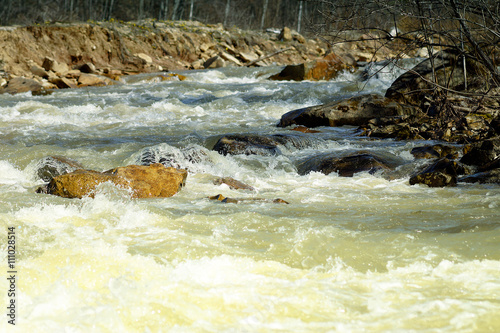 Mountain river in the spring