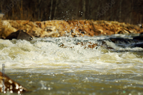 Mountain river in the spring