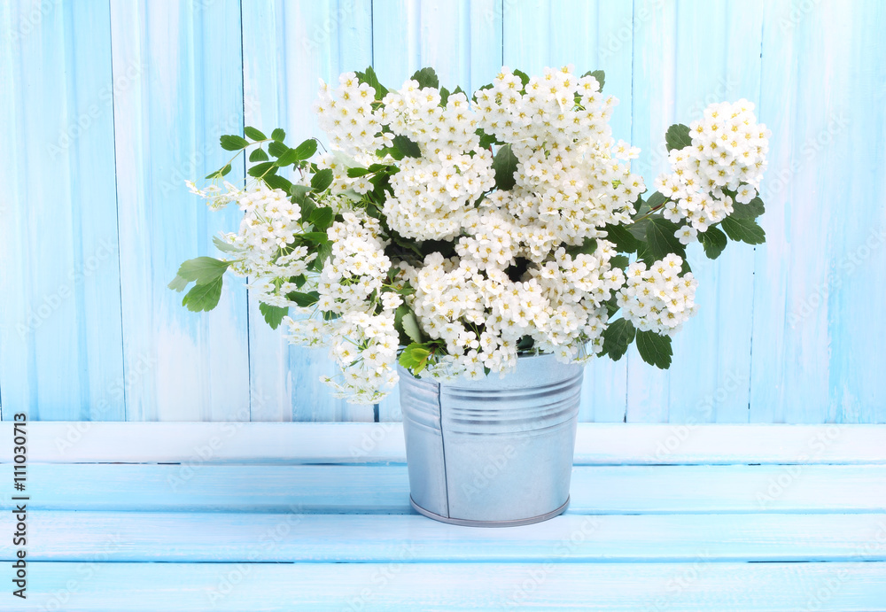 Fototapeta premium Photo frame flower garden wooden background gentle blue tone 