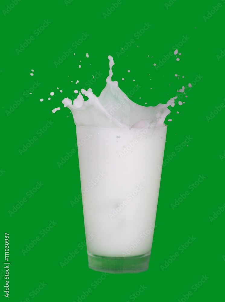 milk splash isolated