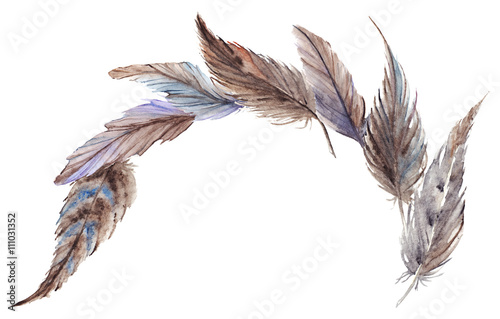 Watercolor gray grey blue brown feathers composition set isolated