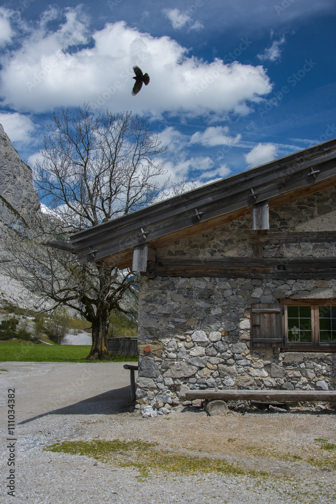 Auf der Alm Auf der Alm