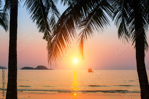 Sunset on a tropical beach, the silhouettes of the palm leaves.