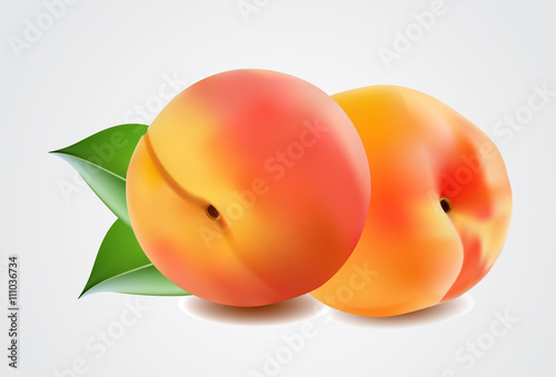 Two ripe peach fruit with leaves. Vector illustration.