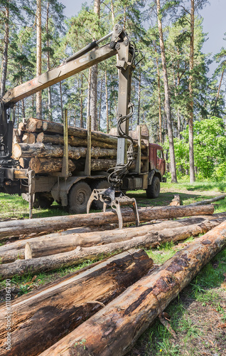  timber carrier