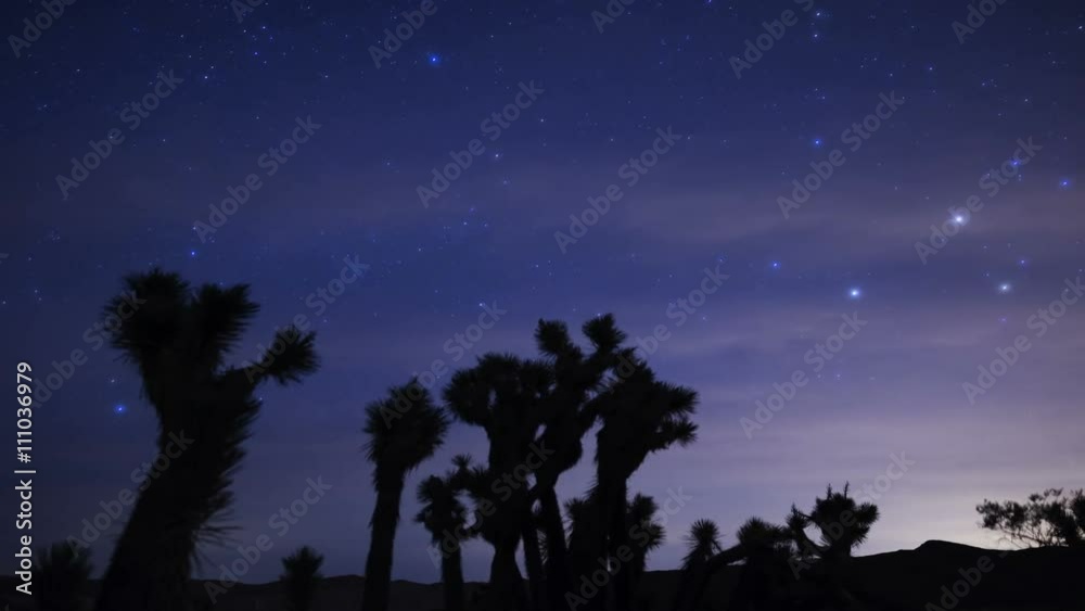 Milky Way Galaxy Joshua Trees 02 Time Lapse Mojave Desert California Milky Way Galaxy Joshua Trees 02 Time Lapse Mojave Desert California