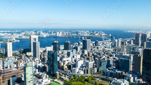 The full viw of Tokyo city in the summer © nicholashan