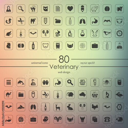 Set of veterinary icons