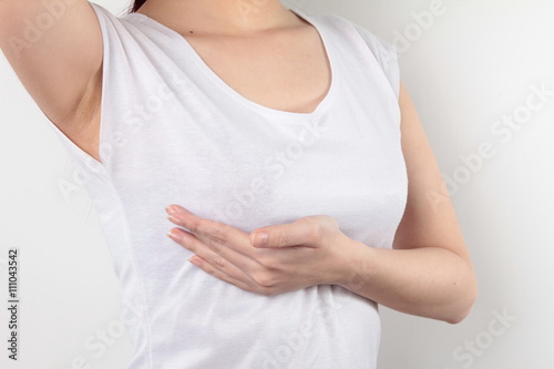 Wallpaper Mural スタイル Torontodigital.ca