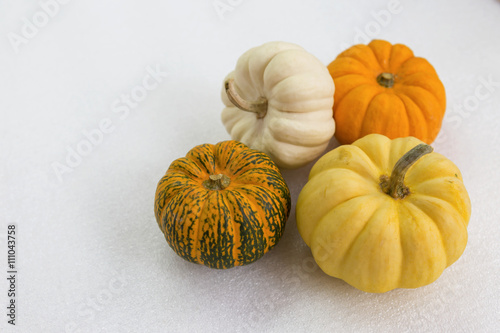 Mini colorful pumpkin on white background