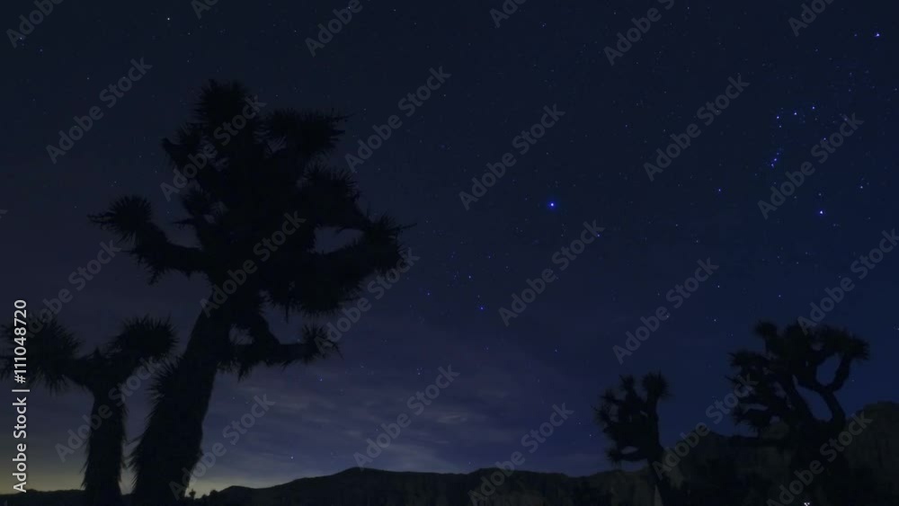 Milky Way Galaxy Joshua Trees 01 Time Lapse Mojave Desert California Dolly