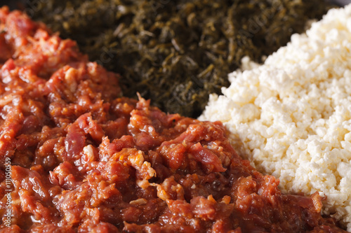 Ethiopian cuisine: kitfo with herbs and cheese a macro. horizontal 
 photo