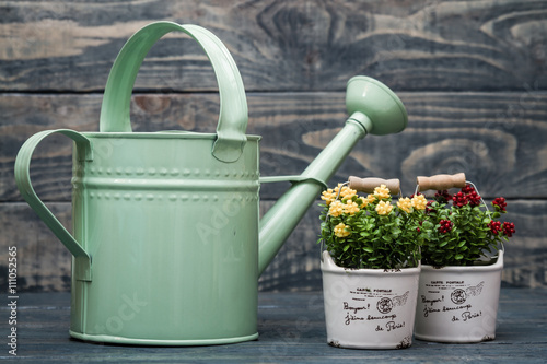 Simple Green Metallic Watering Can