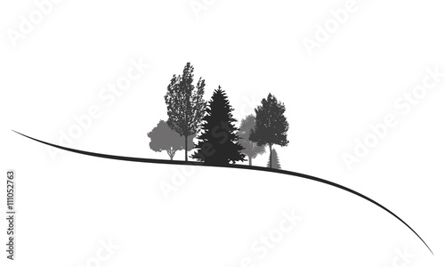 Silhouetten von Bäumen