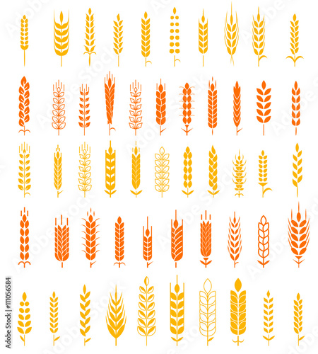 Wheat Ears Icons and Logo Set Natural Product Company and Farm Company Organic wheat, bread agriculture and natural eat.
