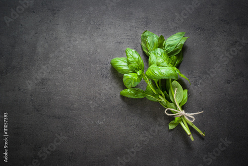 Basil leaves at dark.