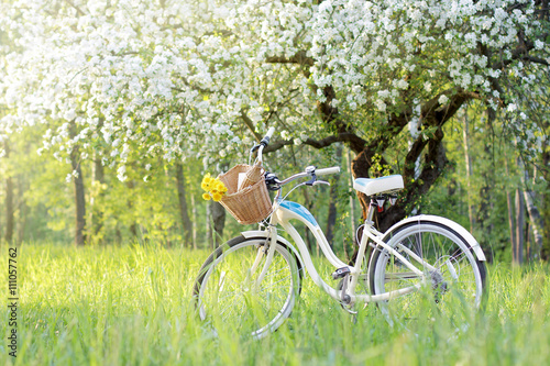 spend a weekend in nature/retro bicycle picnic under a blossoming tree in the Spring 
