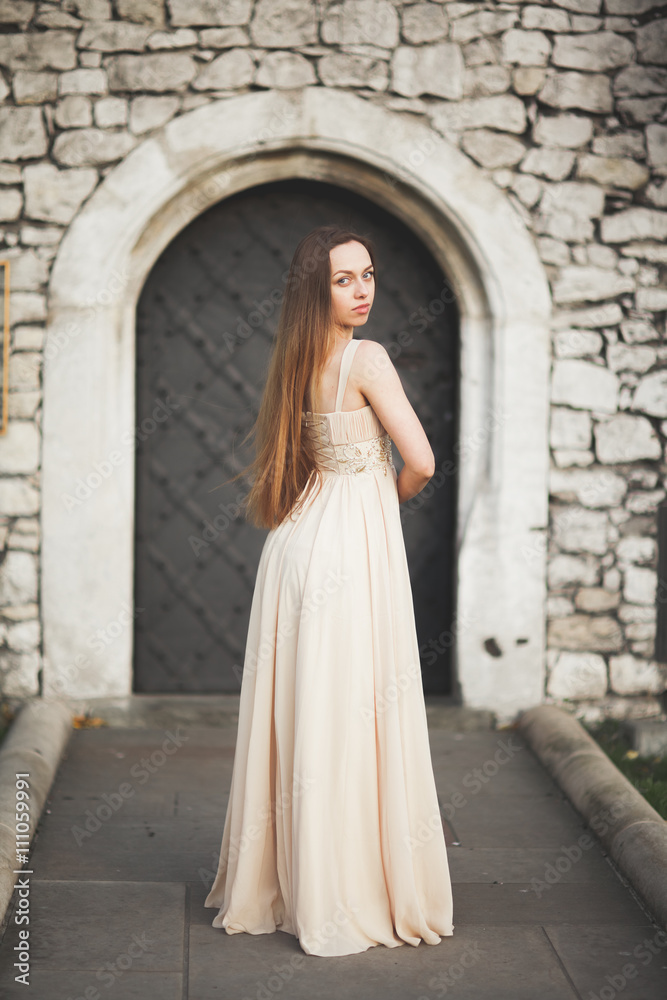 Young woman with long dress and hair posing in park  near old gate