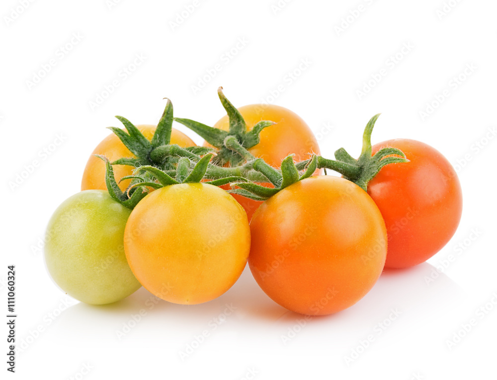 tomato on white background tomato on white background