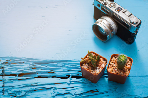 Cactus and odl camera on blue wood background photo