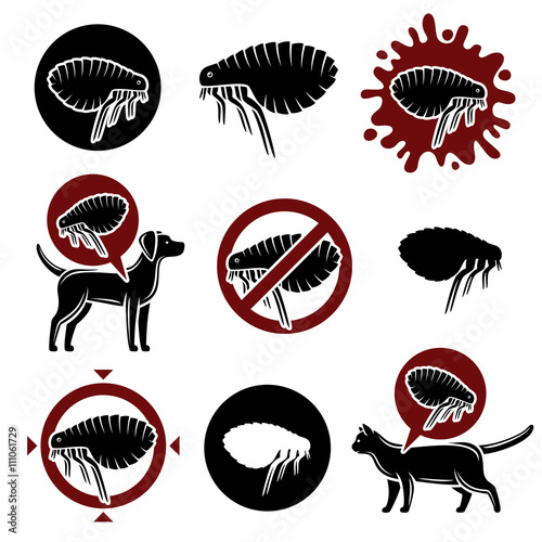 Flea set. Vector