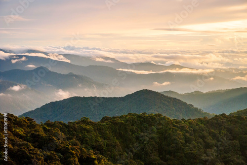 Sunrise over jungle in cameron highlands, Malaysia